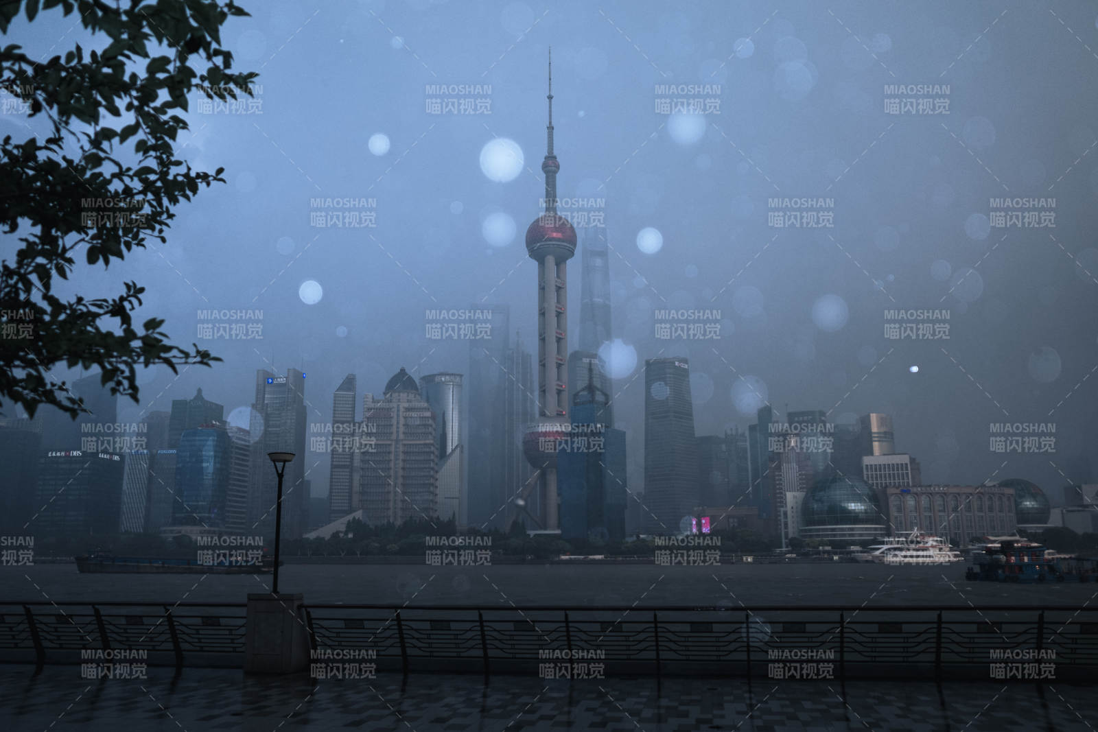 雨夜上海 東方明珠靜謐景