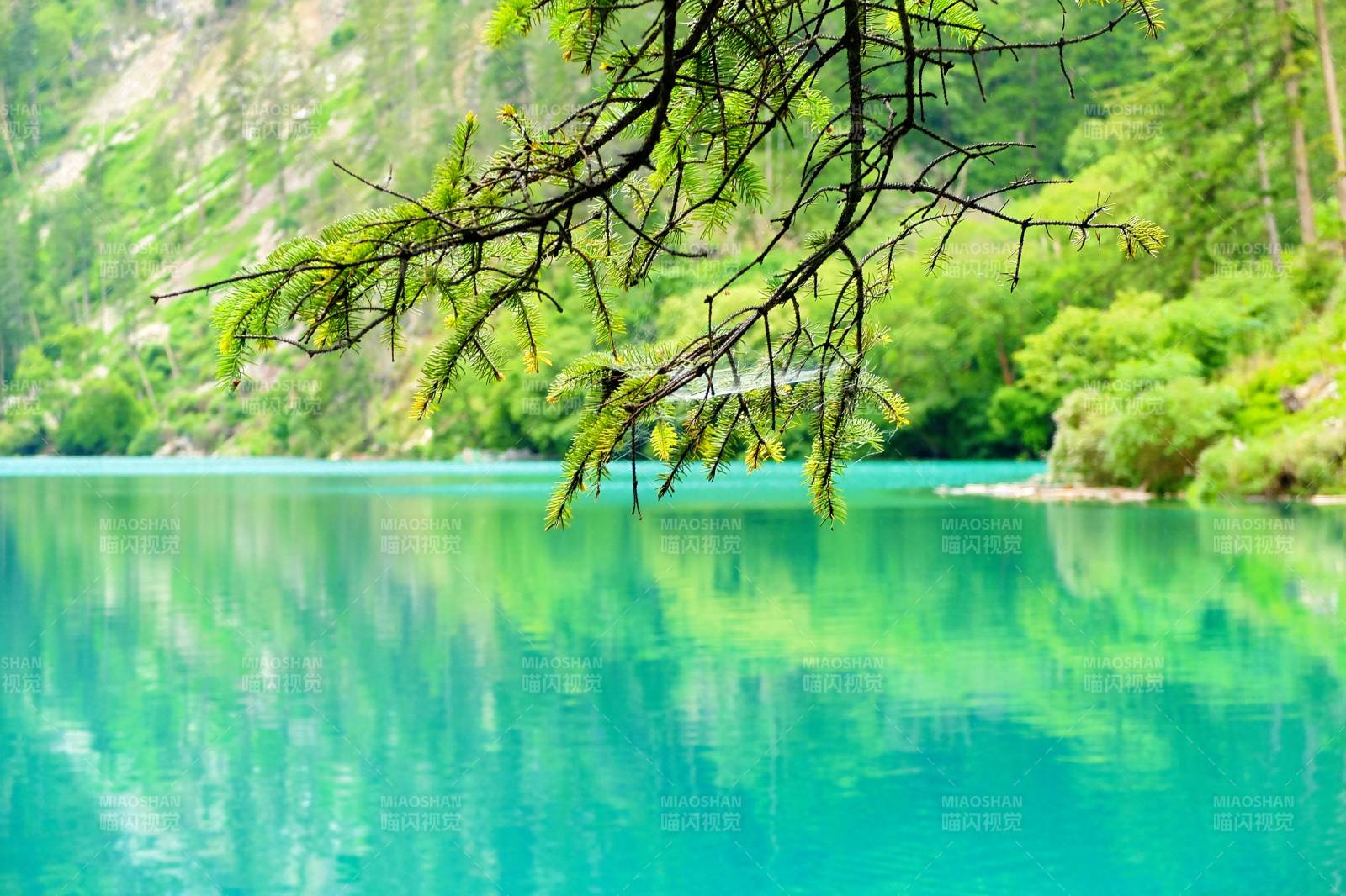 青山綠水