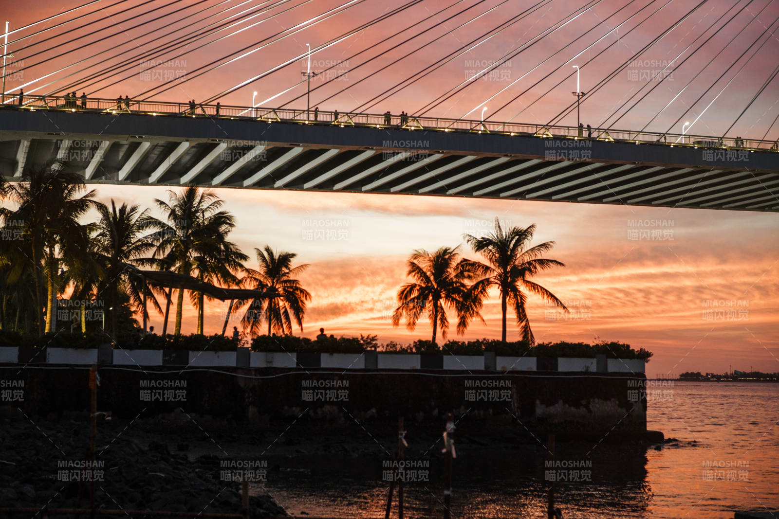 海口夕陽下的世紀大橋與椰子樹