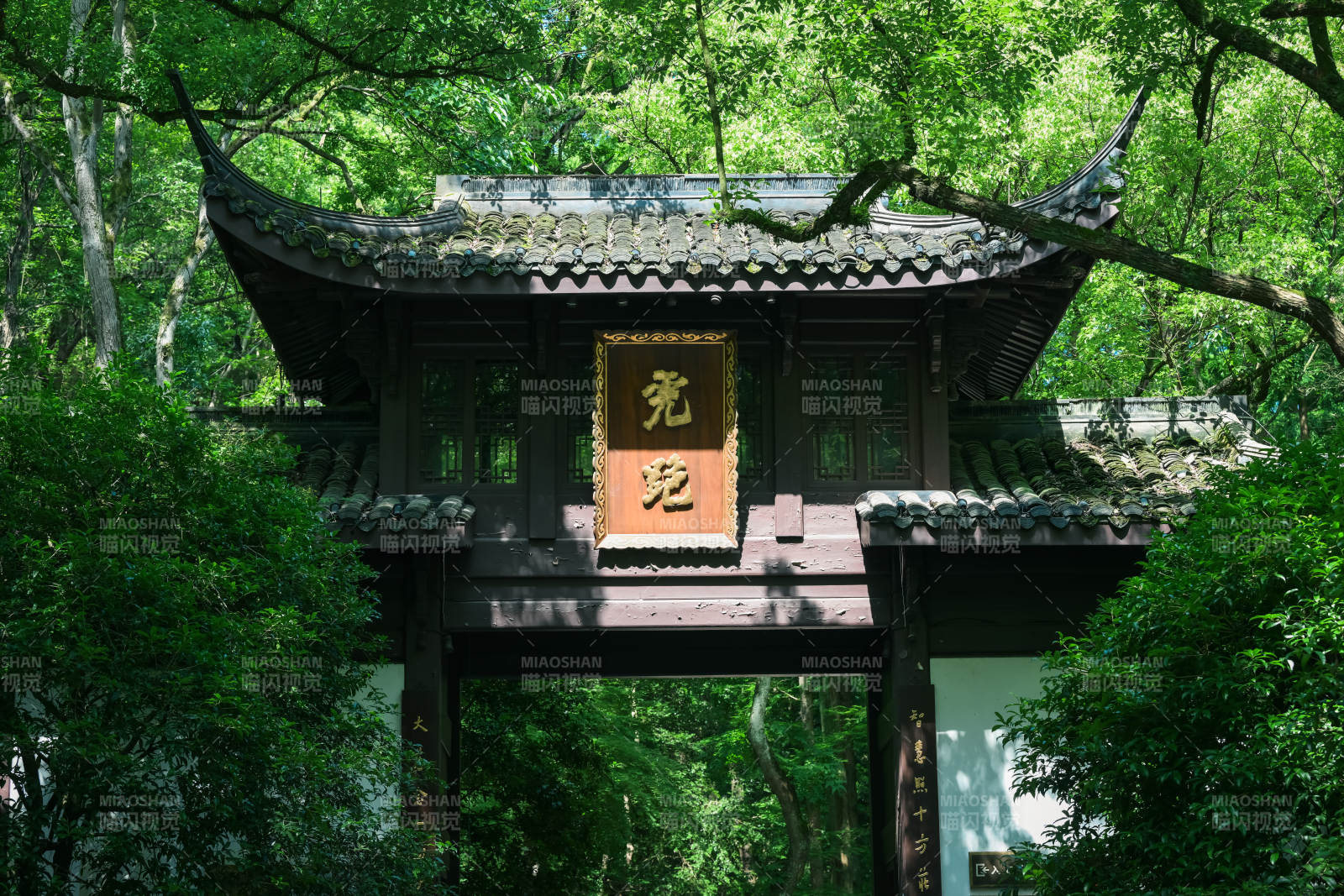 杭州虎跑公園綠樹成蔭