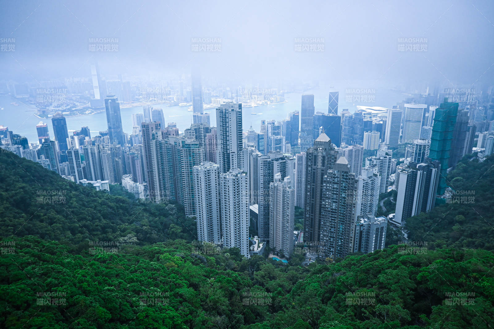 霧中城市高樓林立
