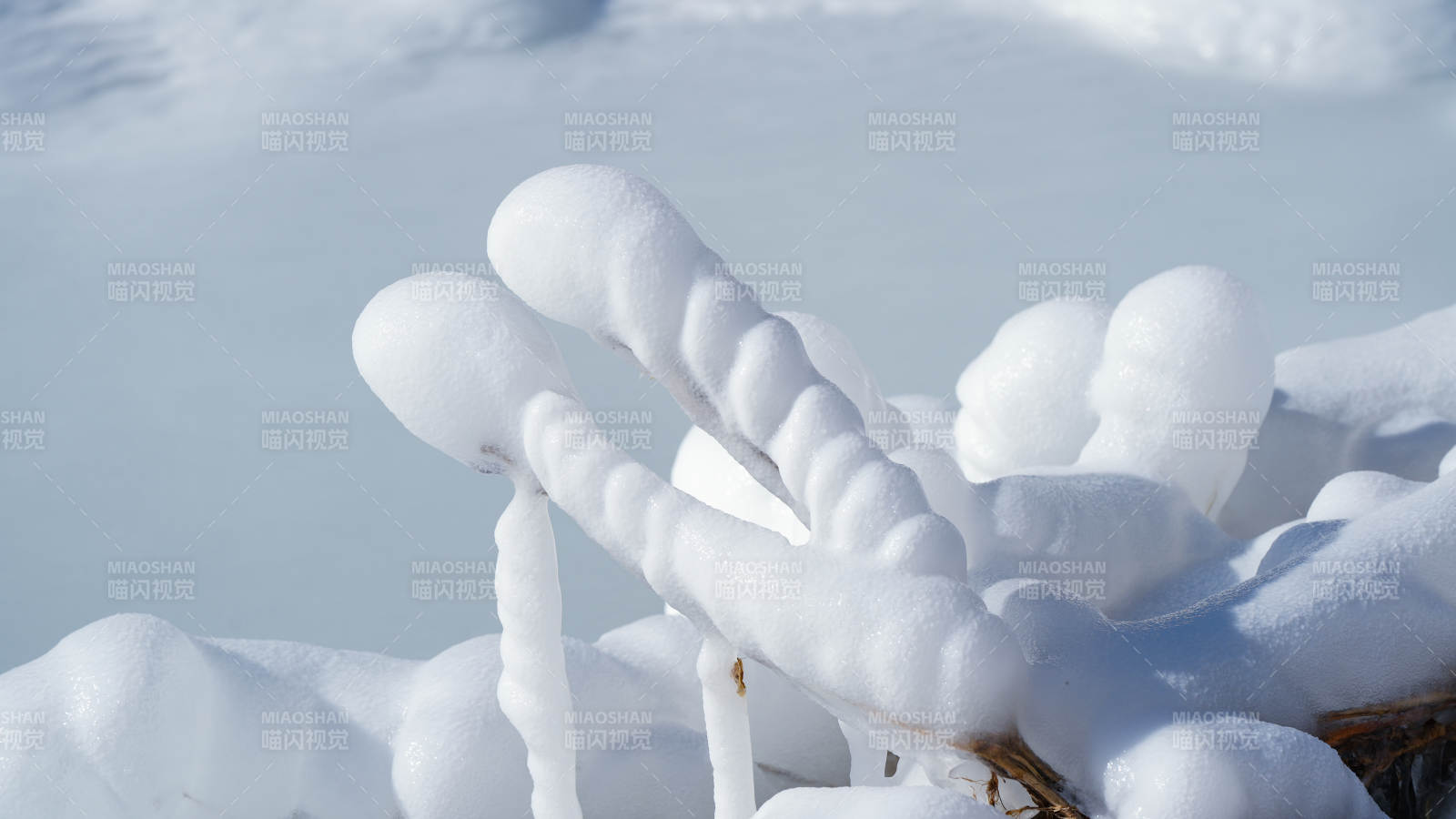 雪中冰柱的獨特形態(tài)