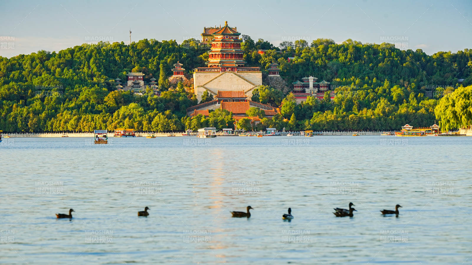 頤和園湖畔風(fēng)光