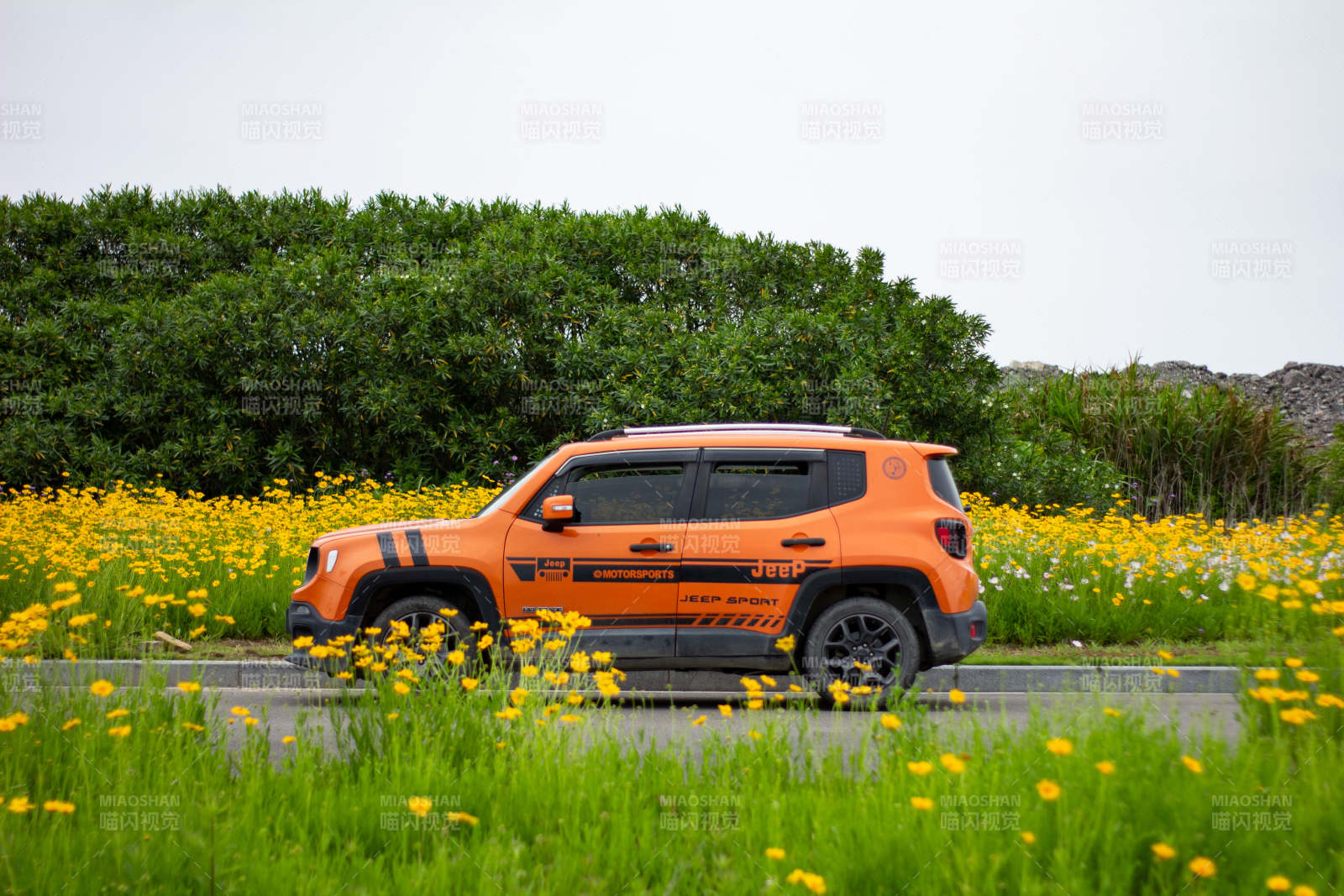 橙色越野車穿行花海中