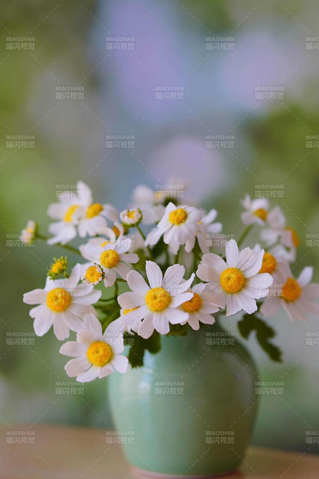 雛菊小花瓶