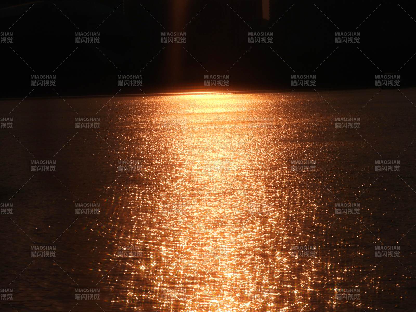 夕陽映水 金光閃爍