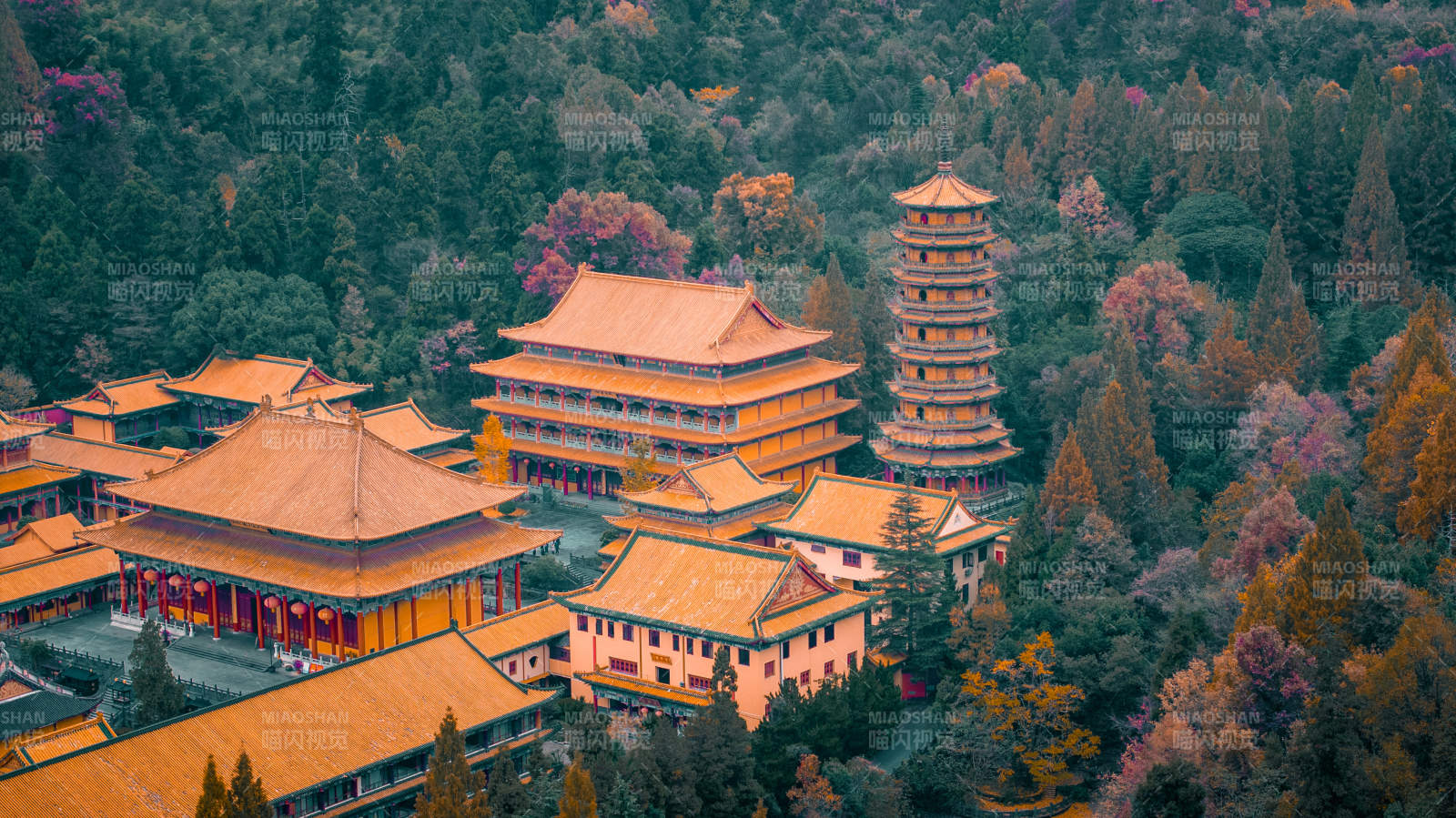 天目山禪源寺
