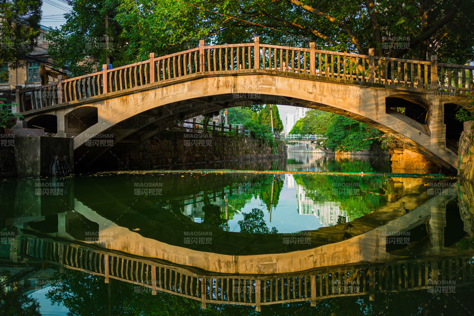 桥影映水 绿树成荫