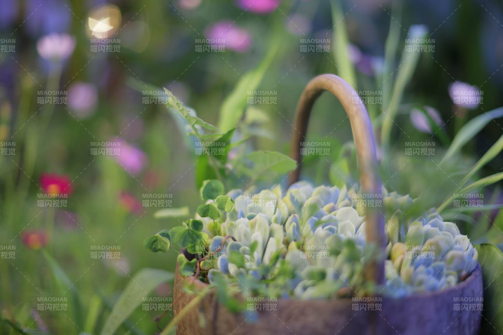花籃中的綠植與野花