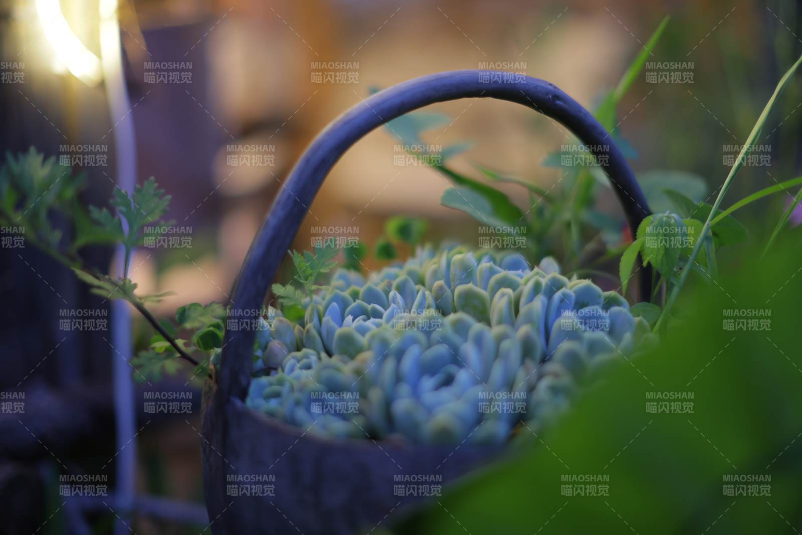 藍調花籃 靜謐之美