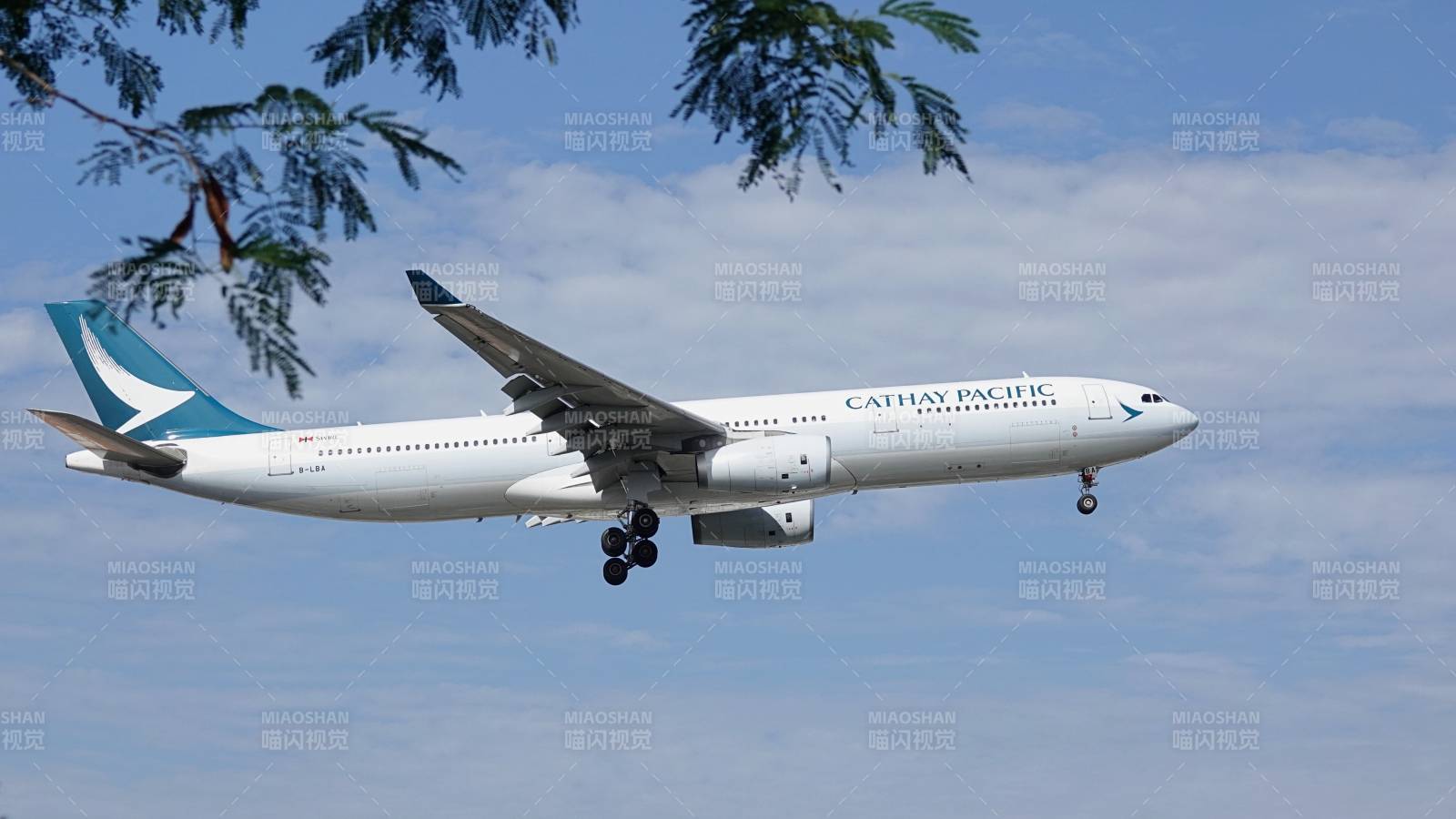 國泰航空飛機降落瞬間