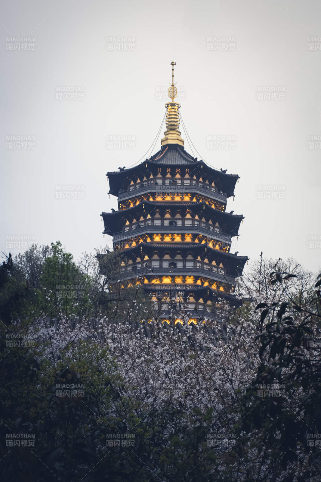 古塔映花海 夜色添輝光--雷峰塔