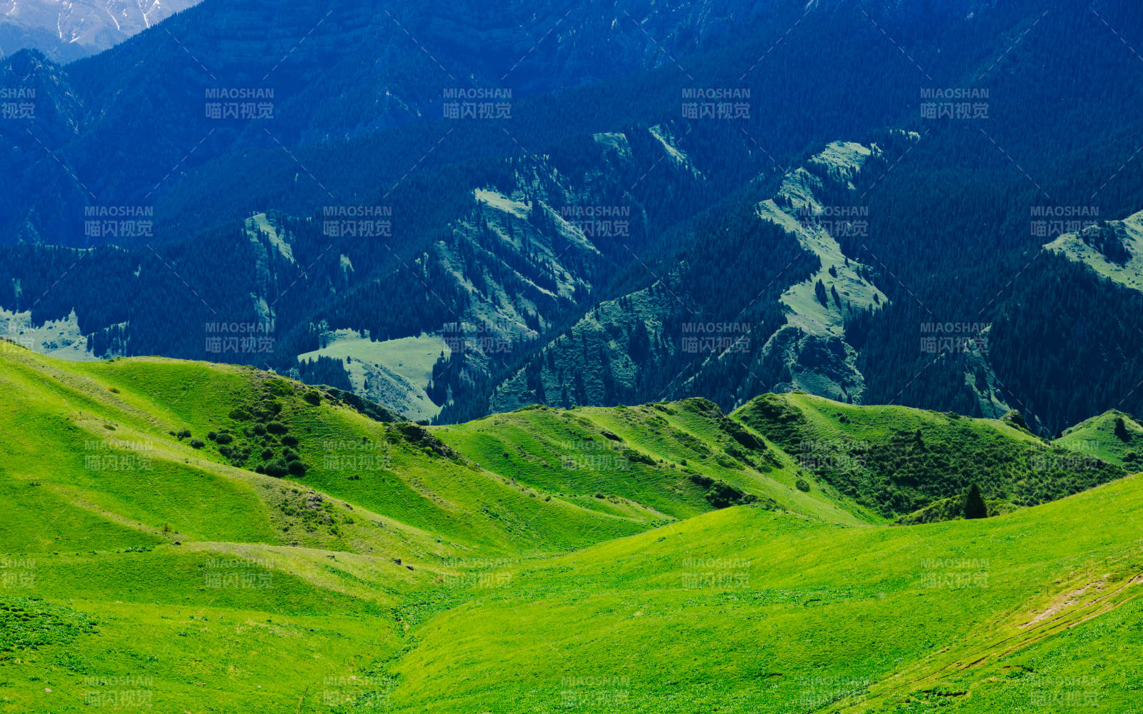 伊犁綠野山巒 自然之美