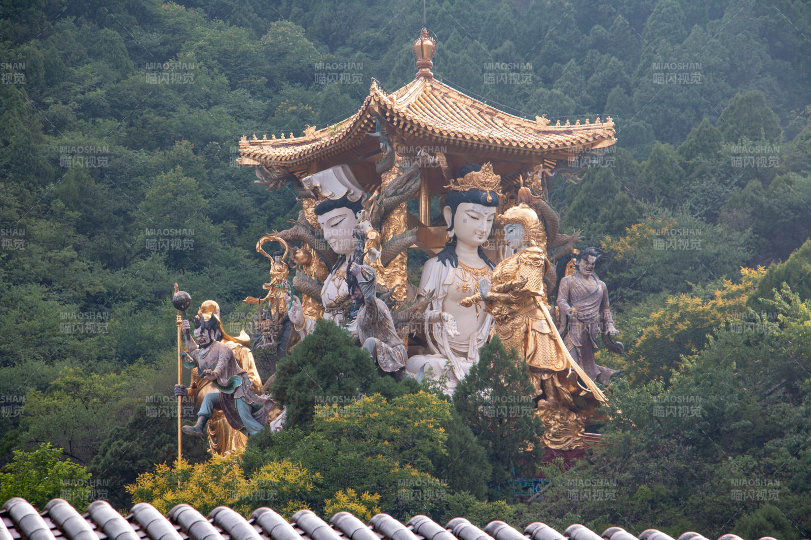 北京白瀑寺金頂佛像與綠林相映