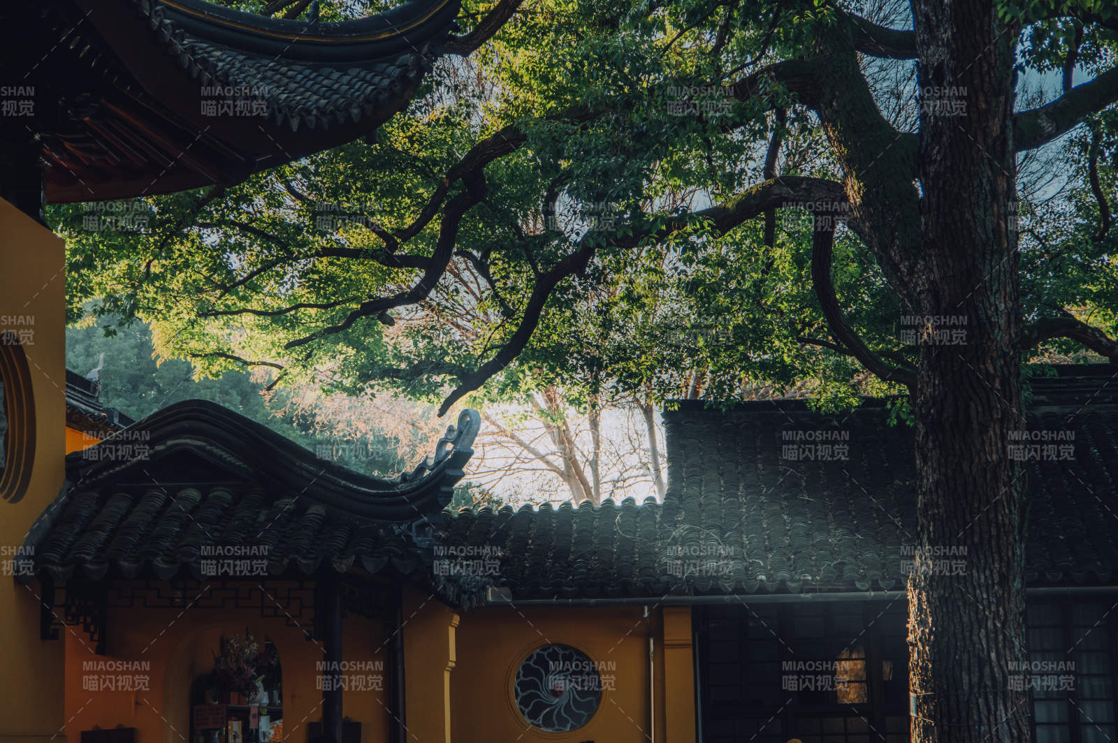 西園寺