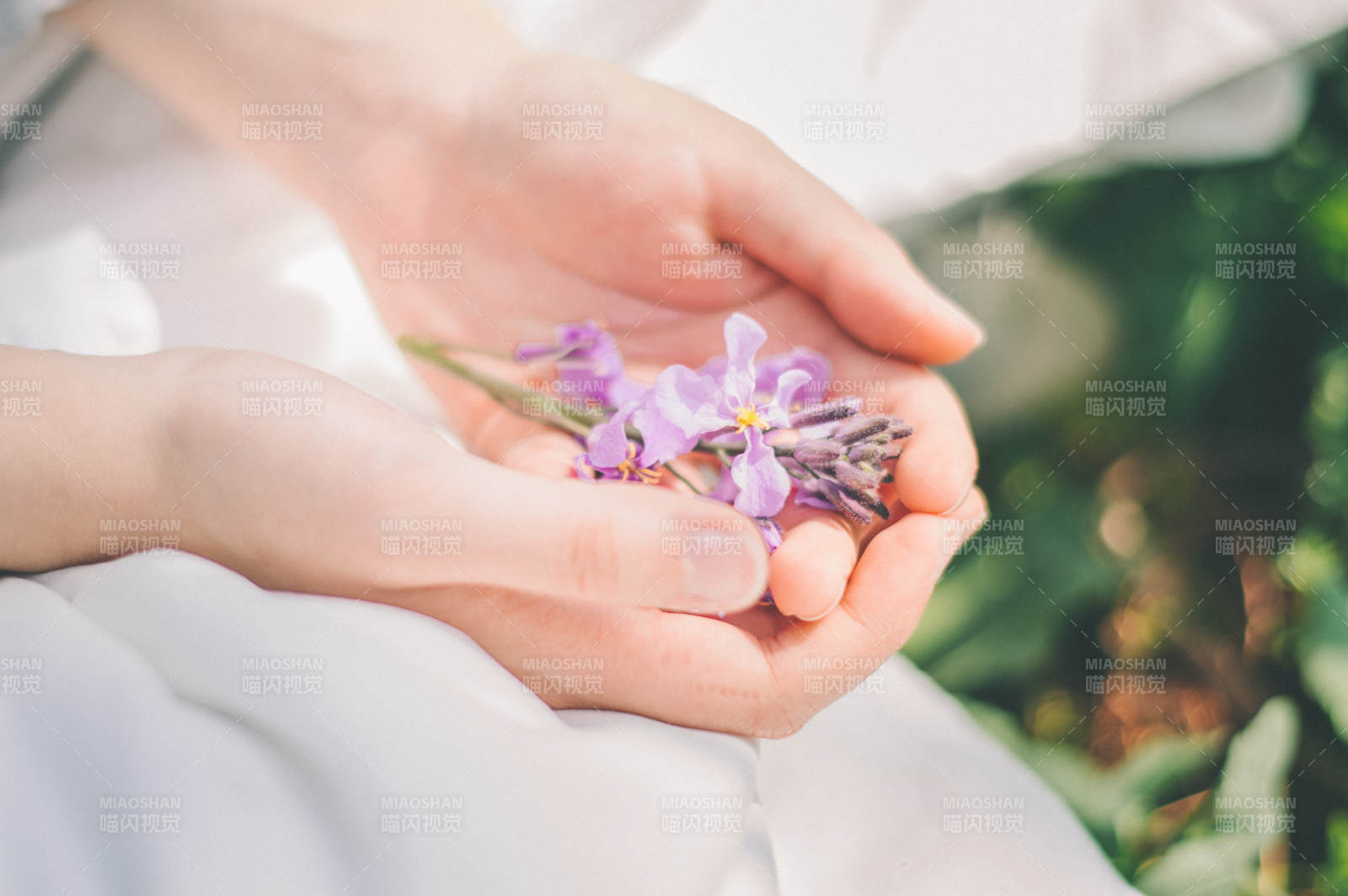 手捧紫色花朵 靜謐時(shí)光