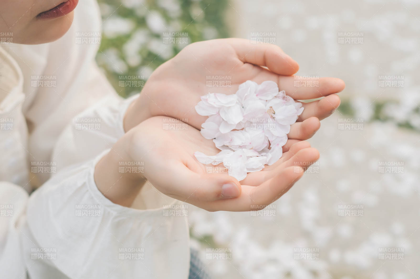 手捧花瓣 春意盎然