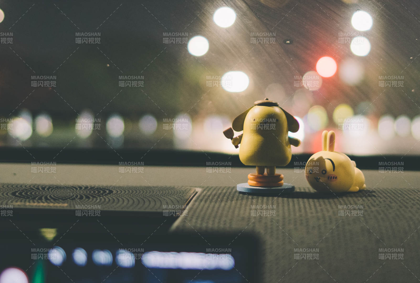 車內萌寵夜景相伴