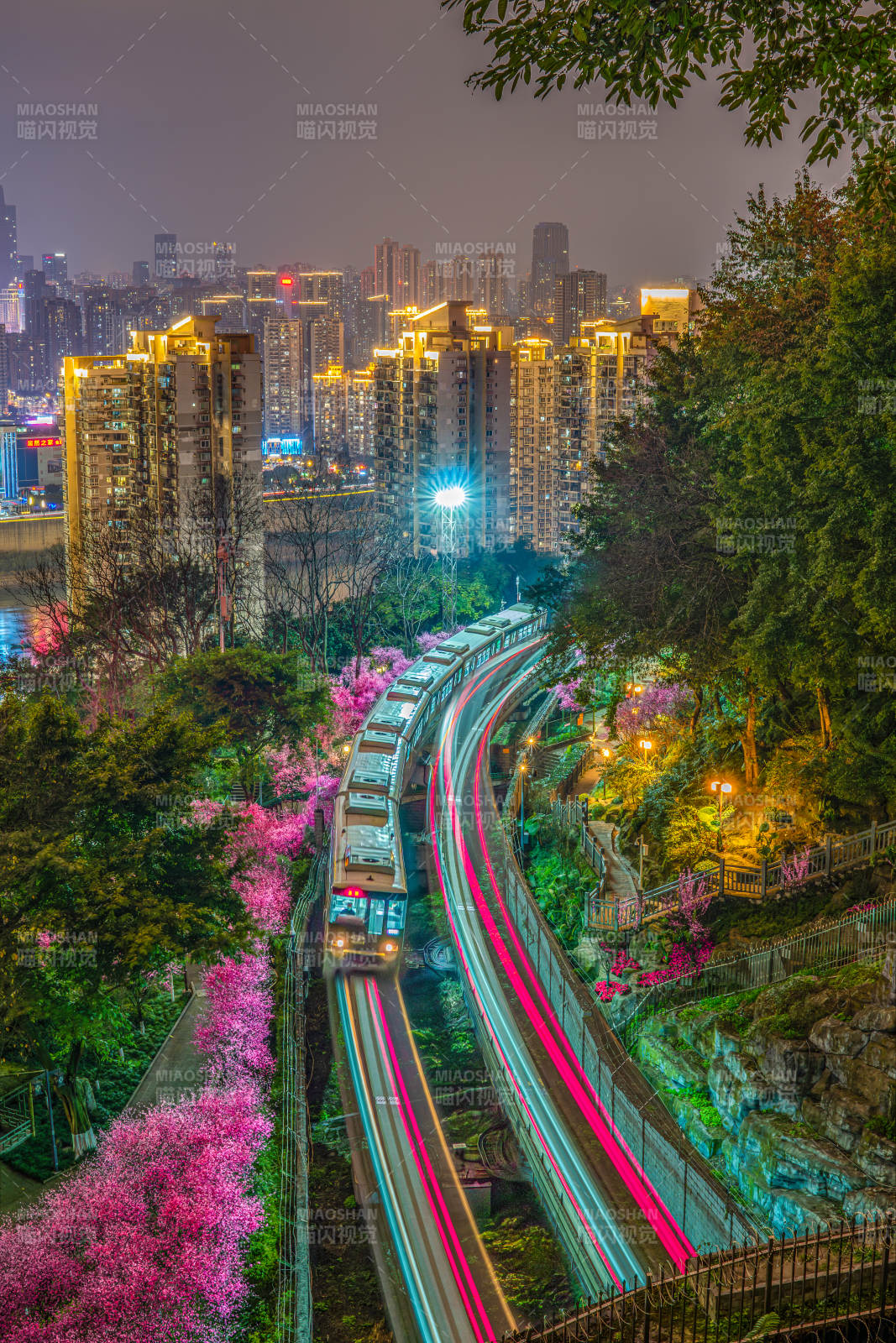 重慶 城市夜景與櫻花列車(chē)