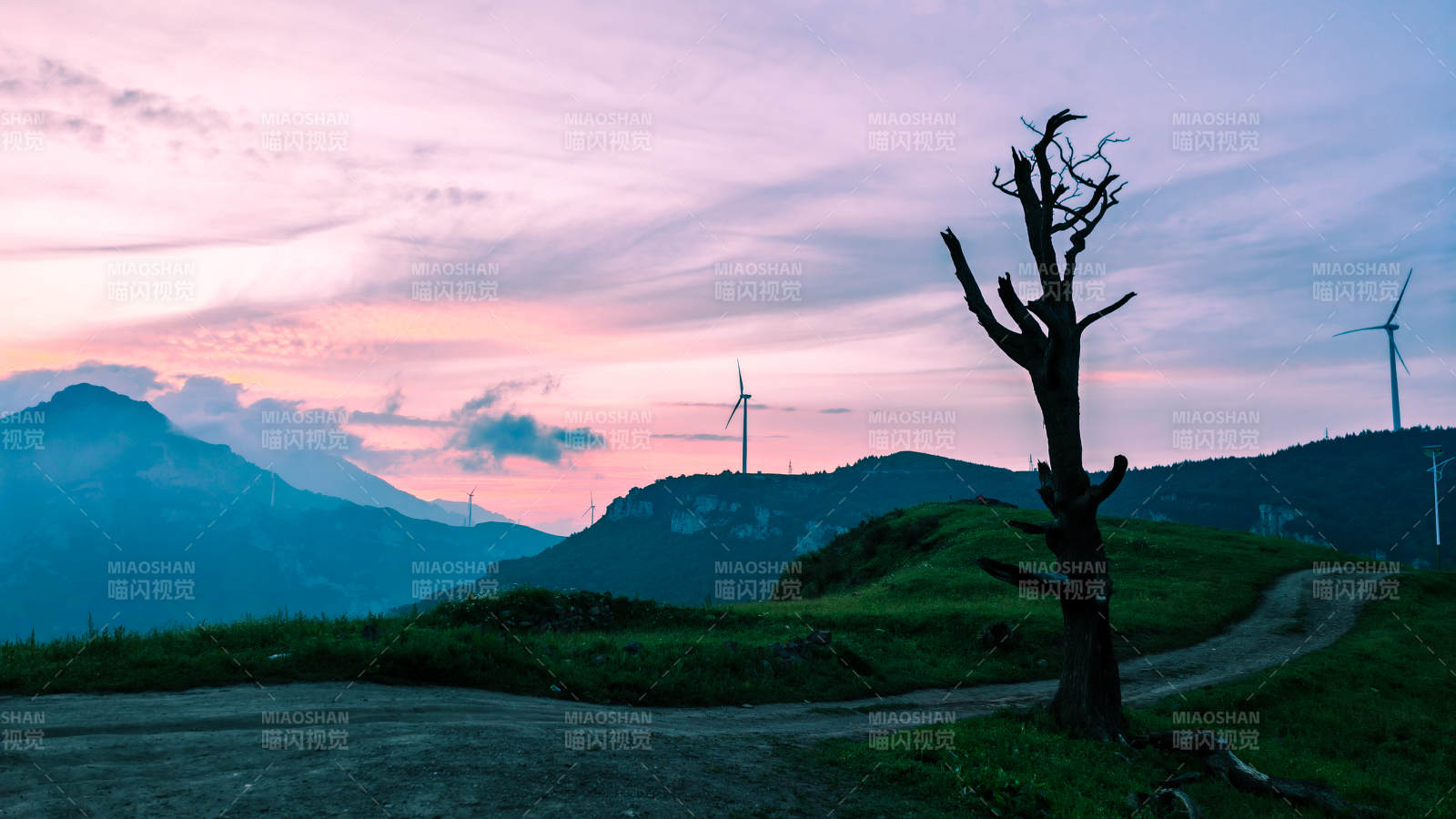 黃昏山野 孤樹風車影