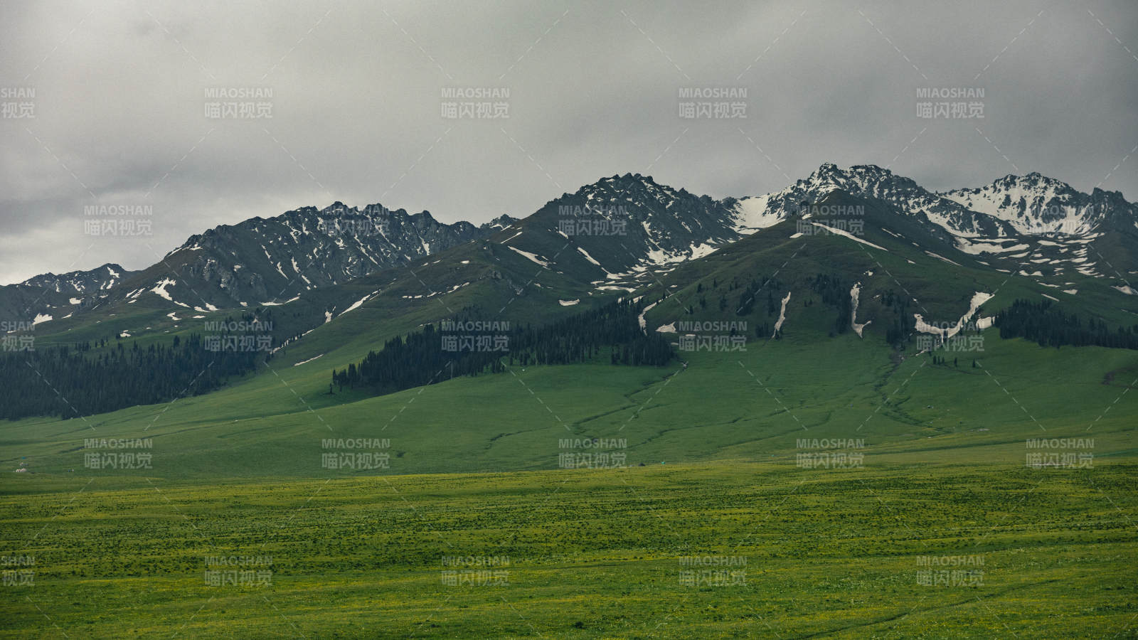 那拉提雪山綠野 寧?kù)o自然