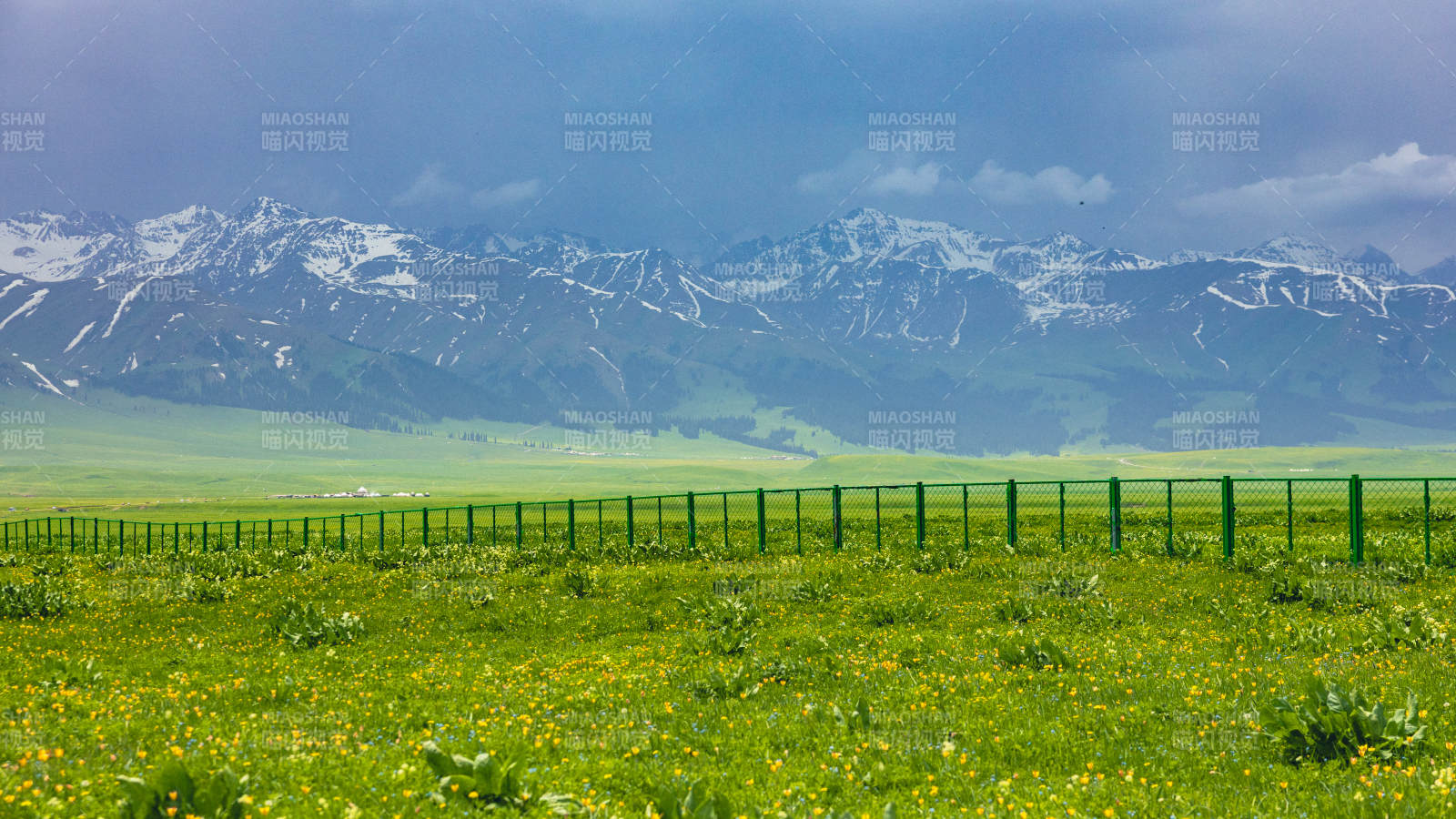 那拉提雪山草原 綠意盎然