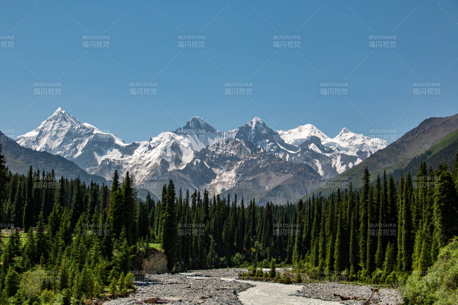 夏塔景區雪山森林溪流美景