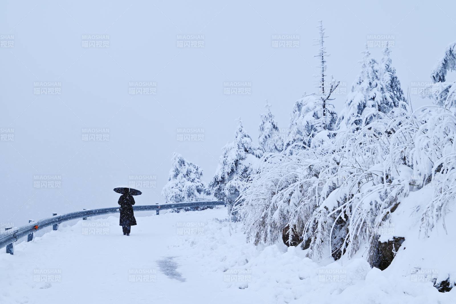 雪中獨行 傘下寒風(fēng)