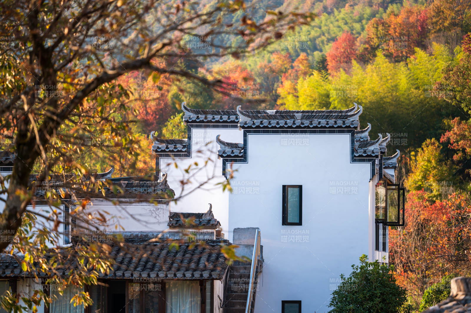 塔川秋色