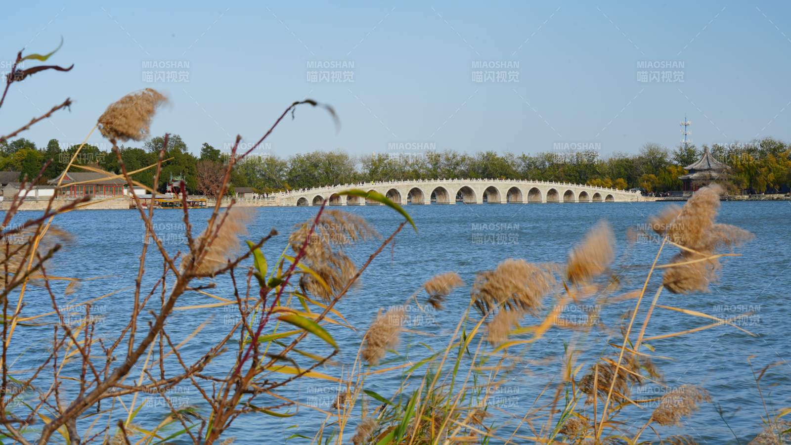 湖畔蘆葦與十七孔橋