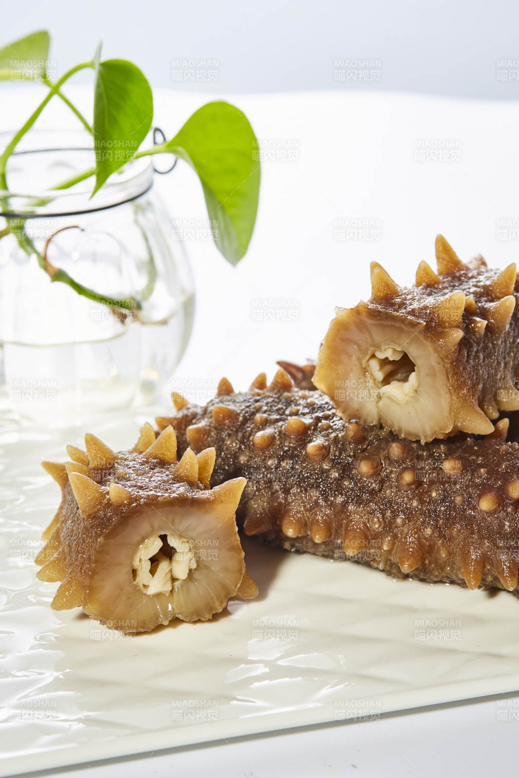 海參美食 清新點綴