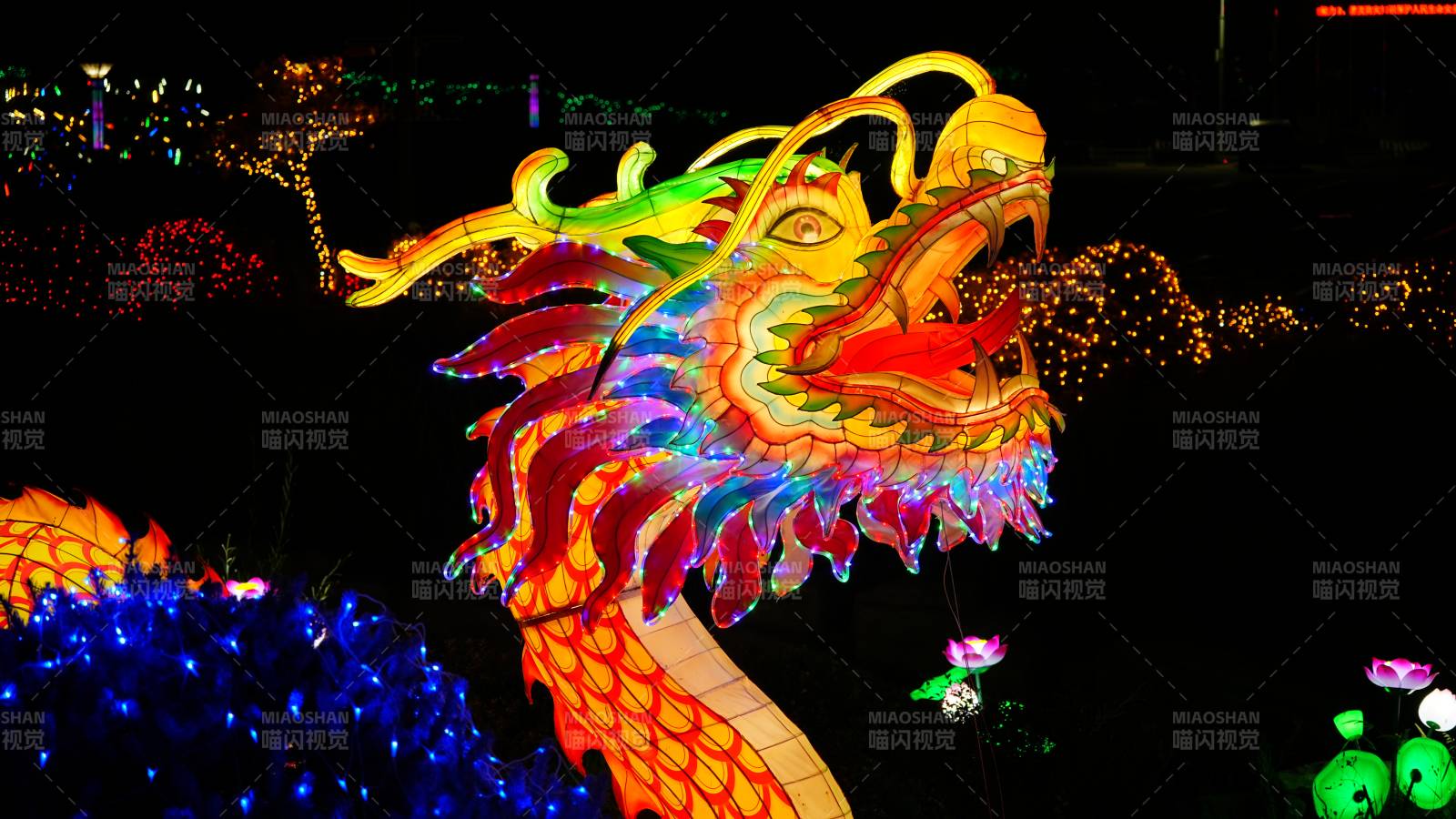 夜色中的彩龍燈飾