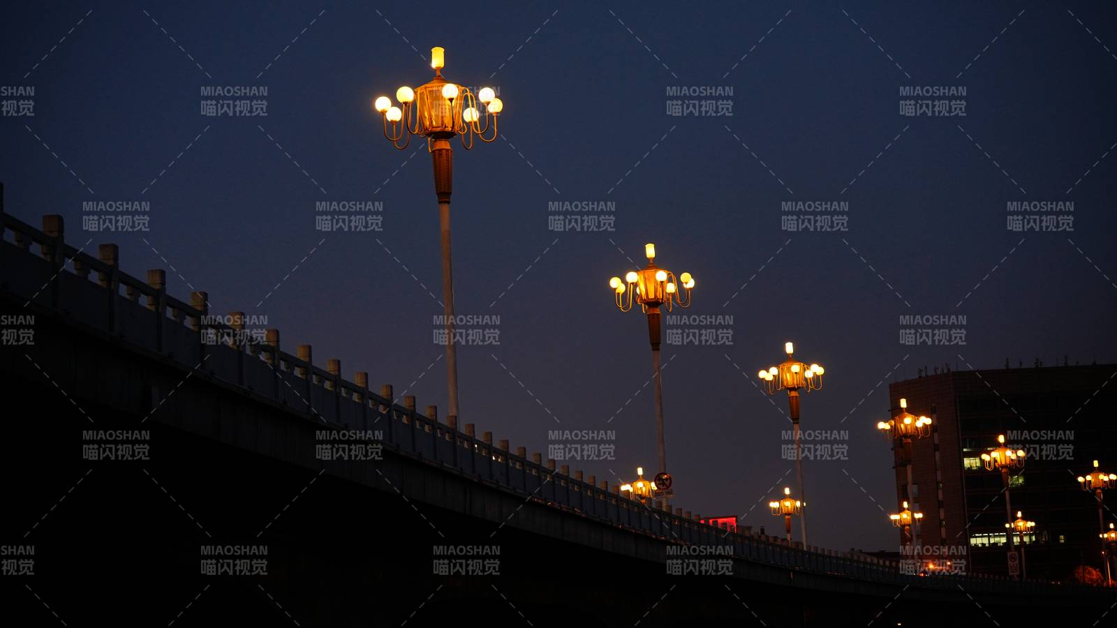 夜幕下的華麗路燈