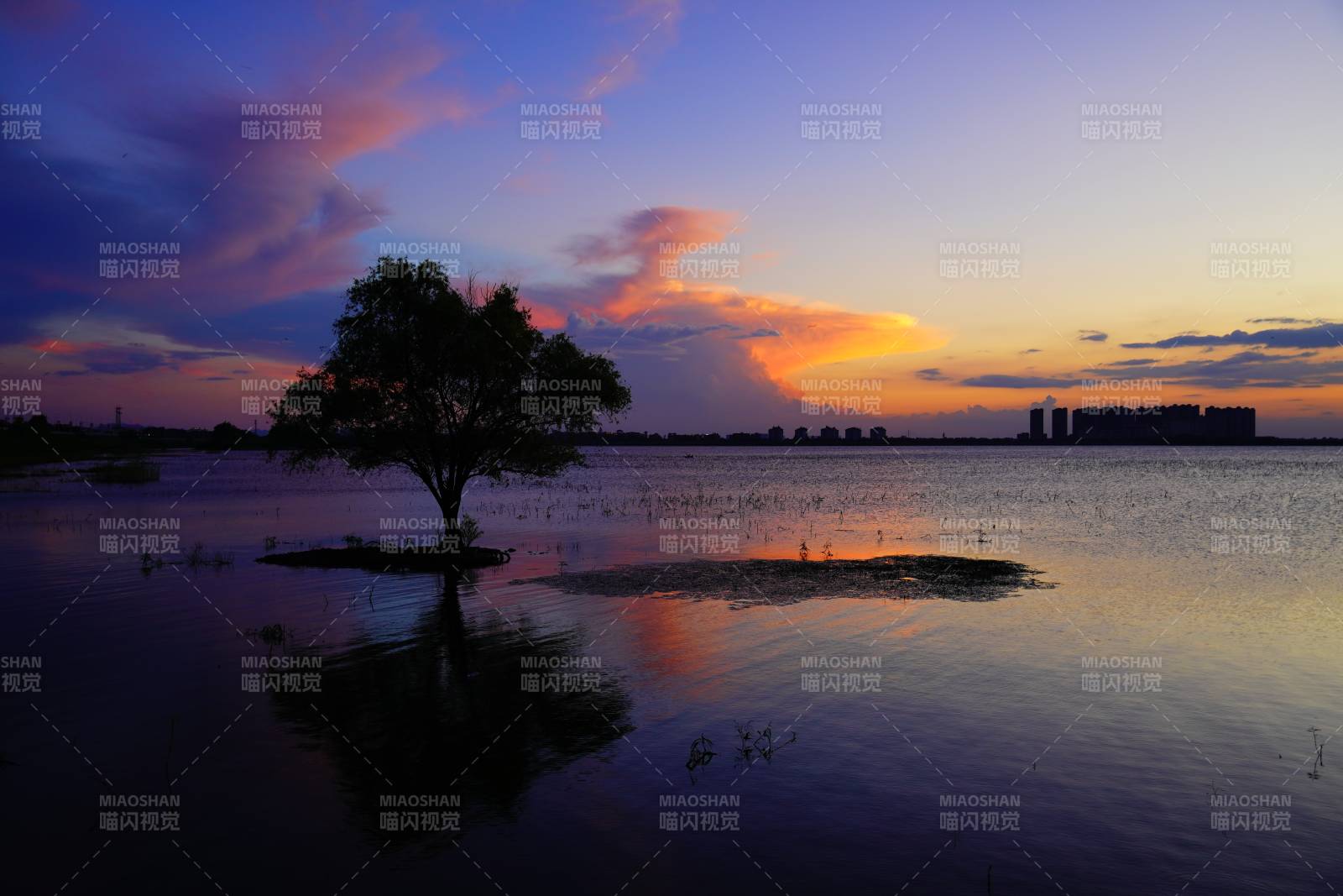 湖畔夕陽 樹影婆娑 蕪湖外龍窩湖濕地公園
