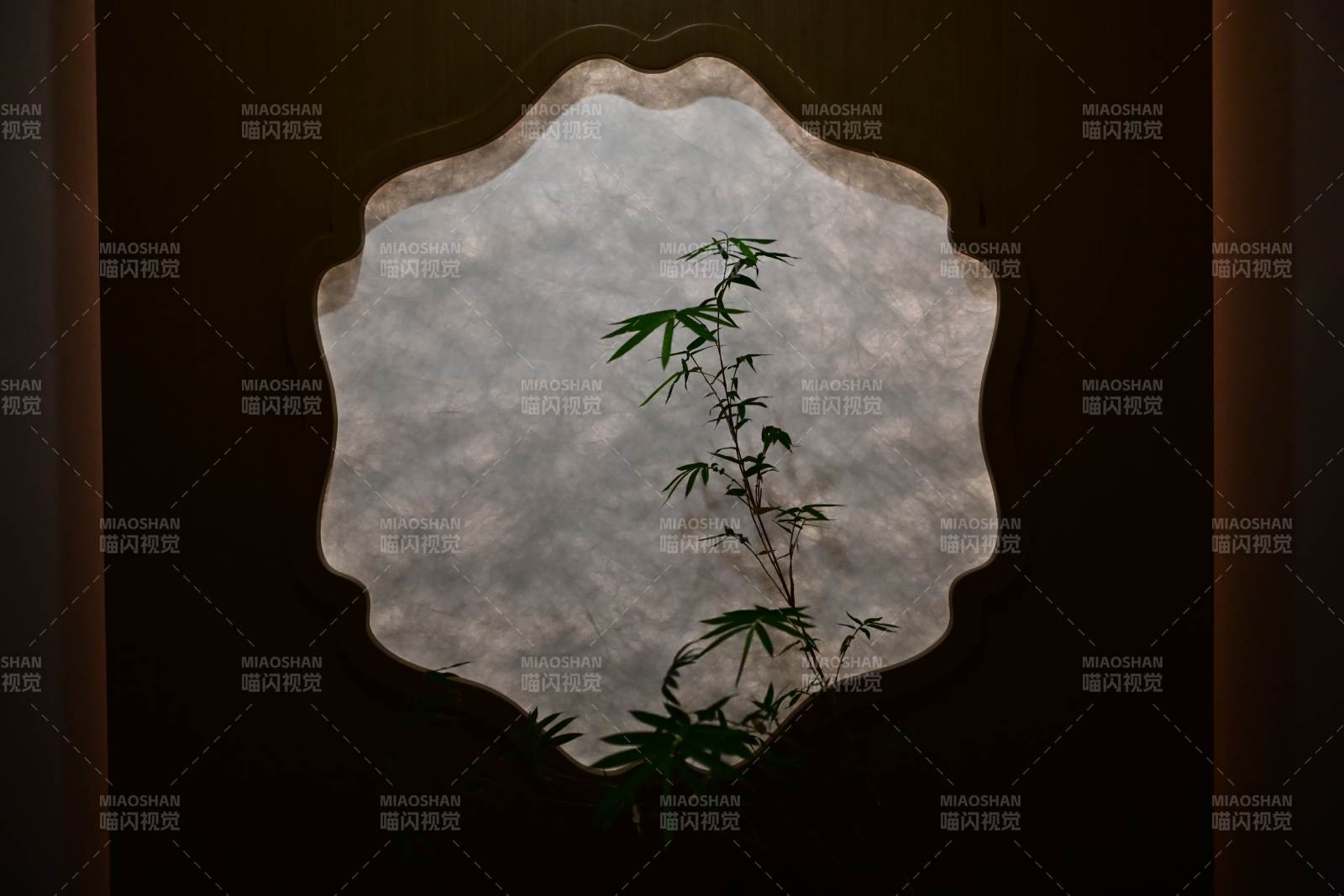 窗洞中的綠意光影