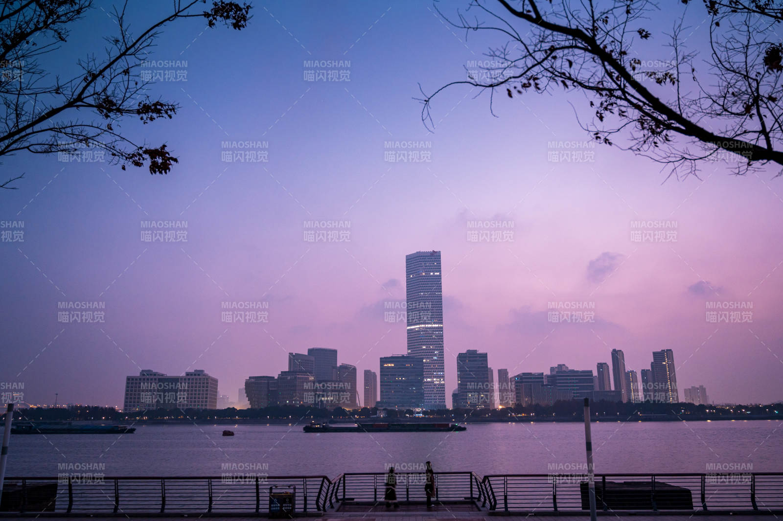 西岸眺望前灘