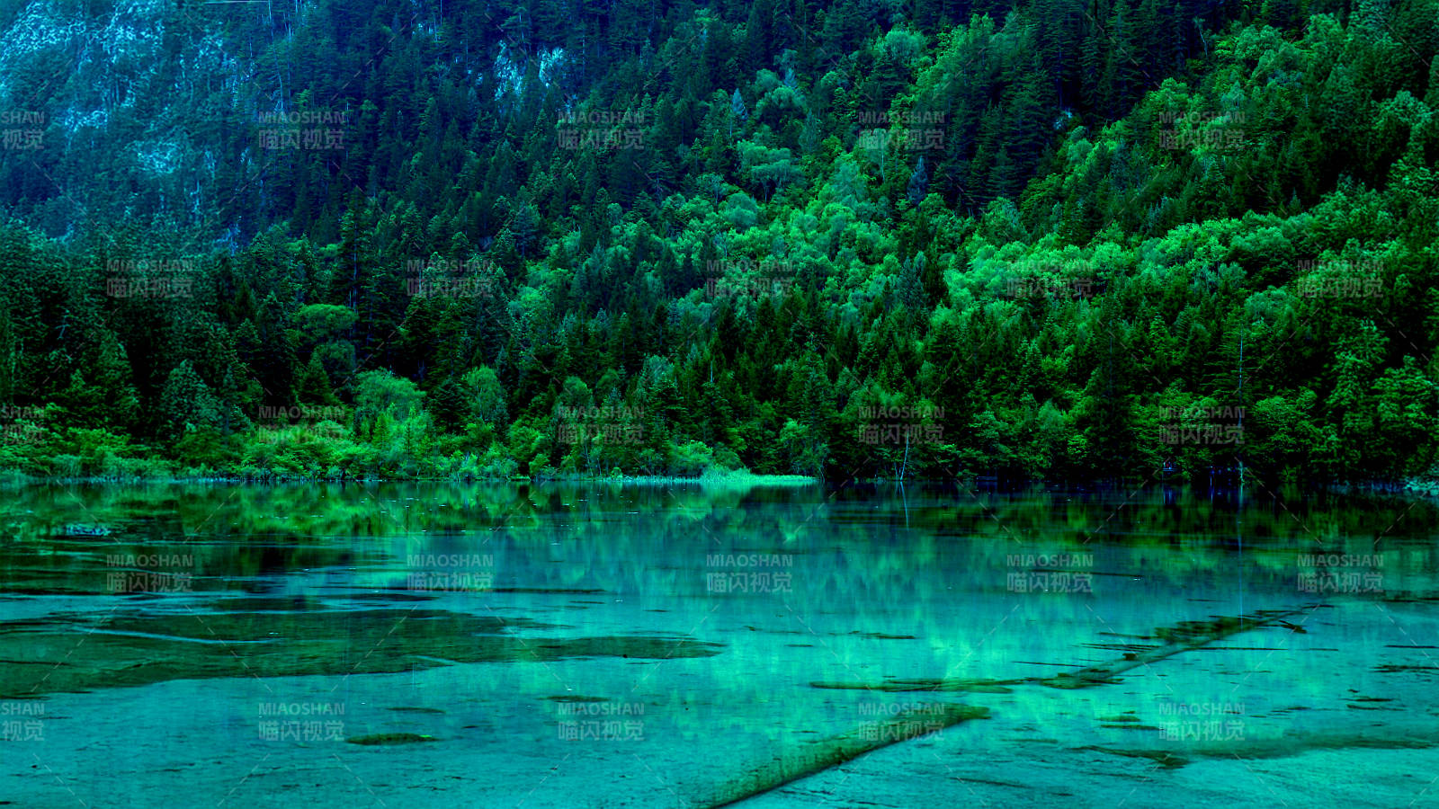 翠綠山谷 靜謐湖水(九寨溝)