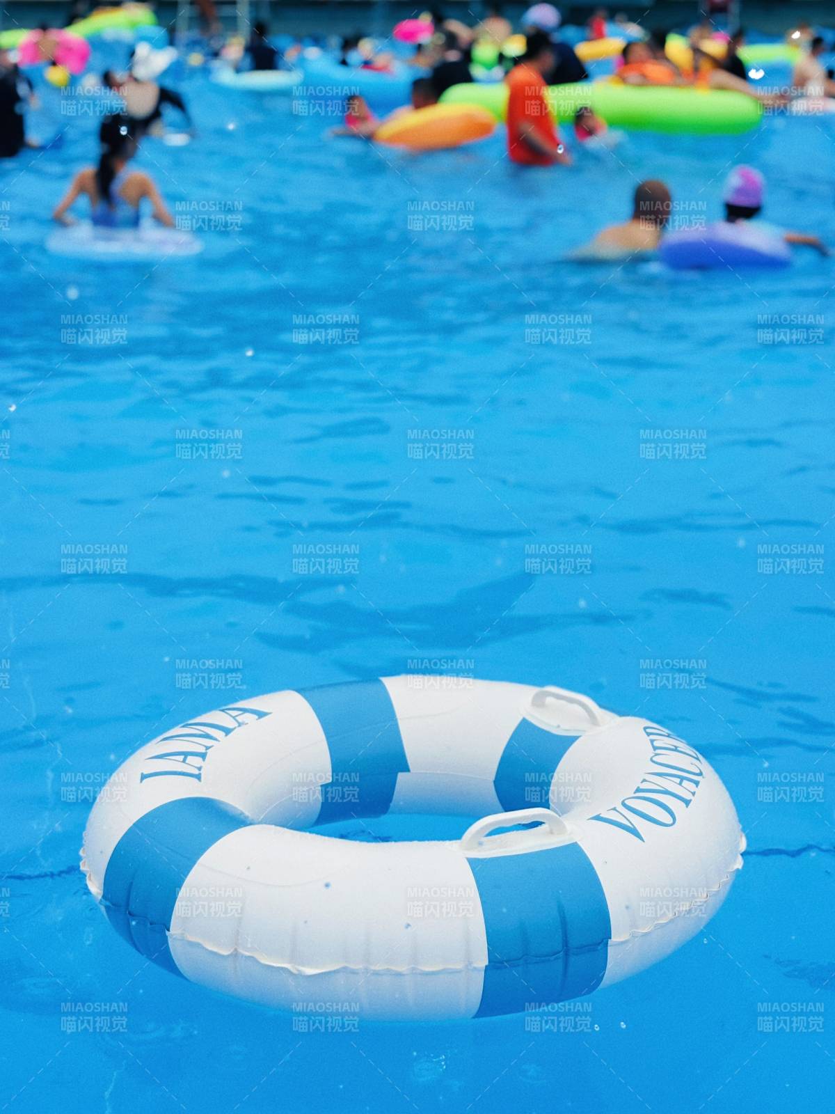 夏日泳池歡樂時光