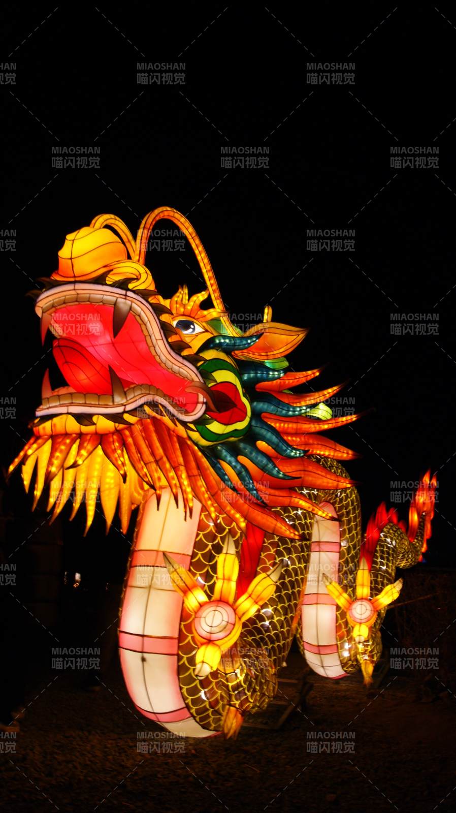 夜色中的龍形燈籠