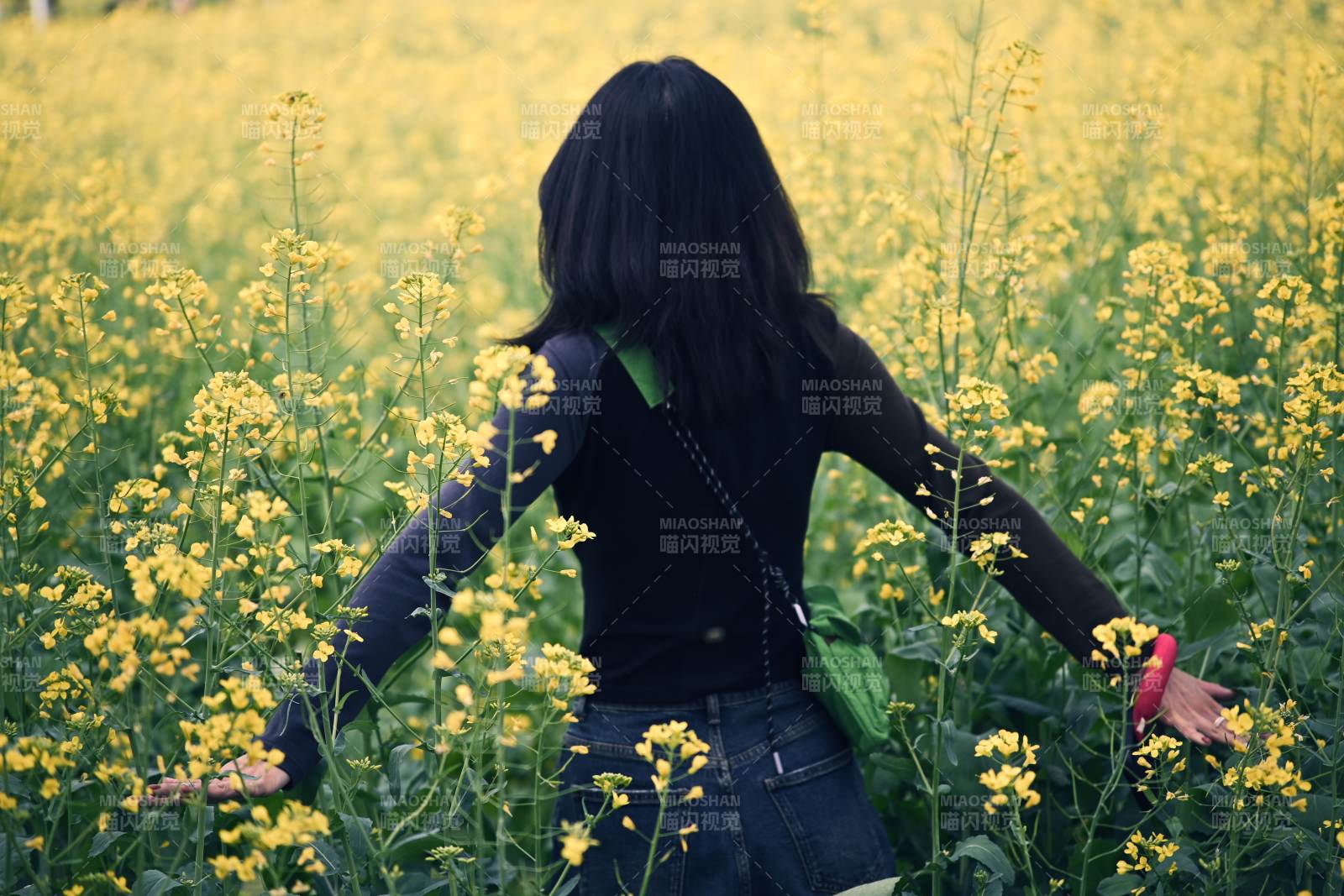 花海中的背影
