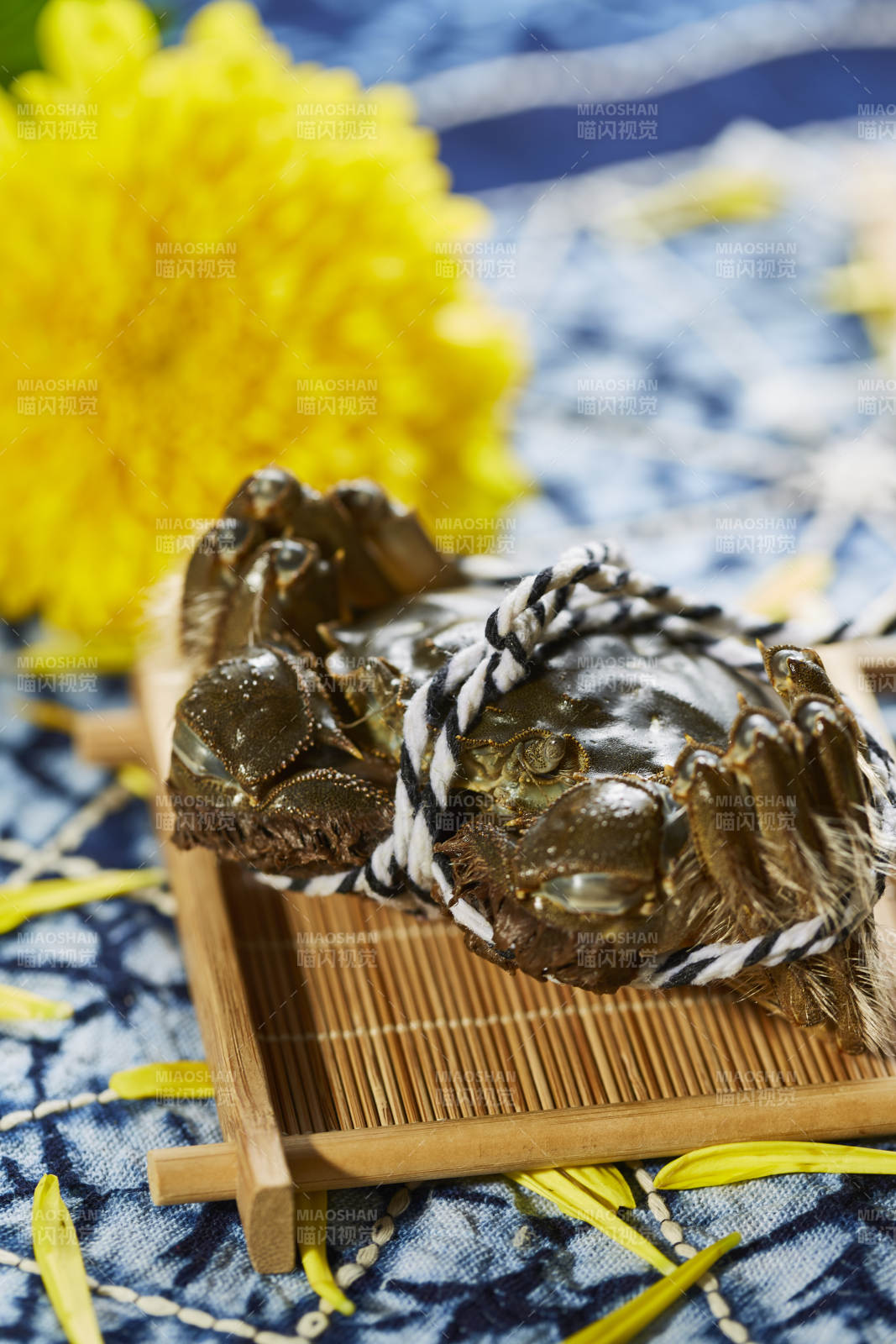 秋日蟹宴 金菊相伴