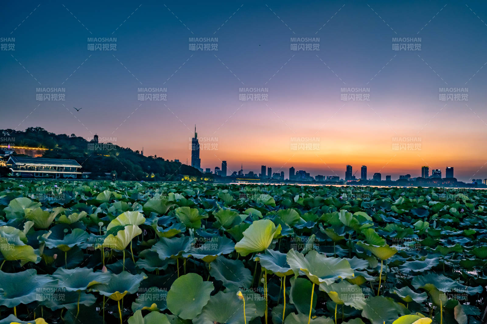 湖畔落日 城市剪影