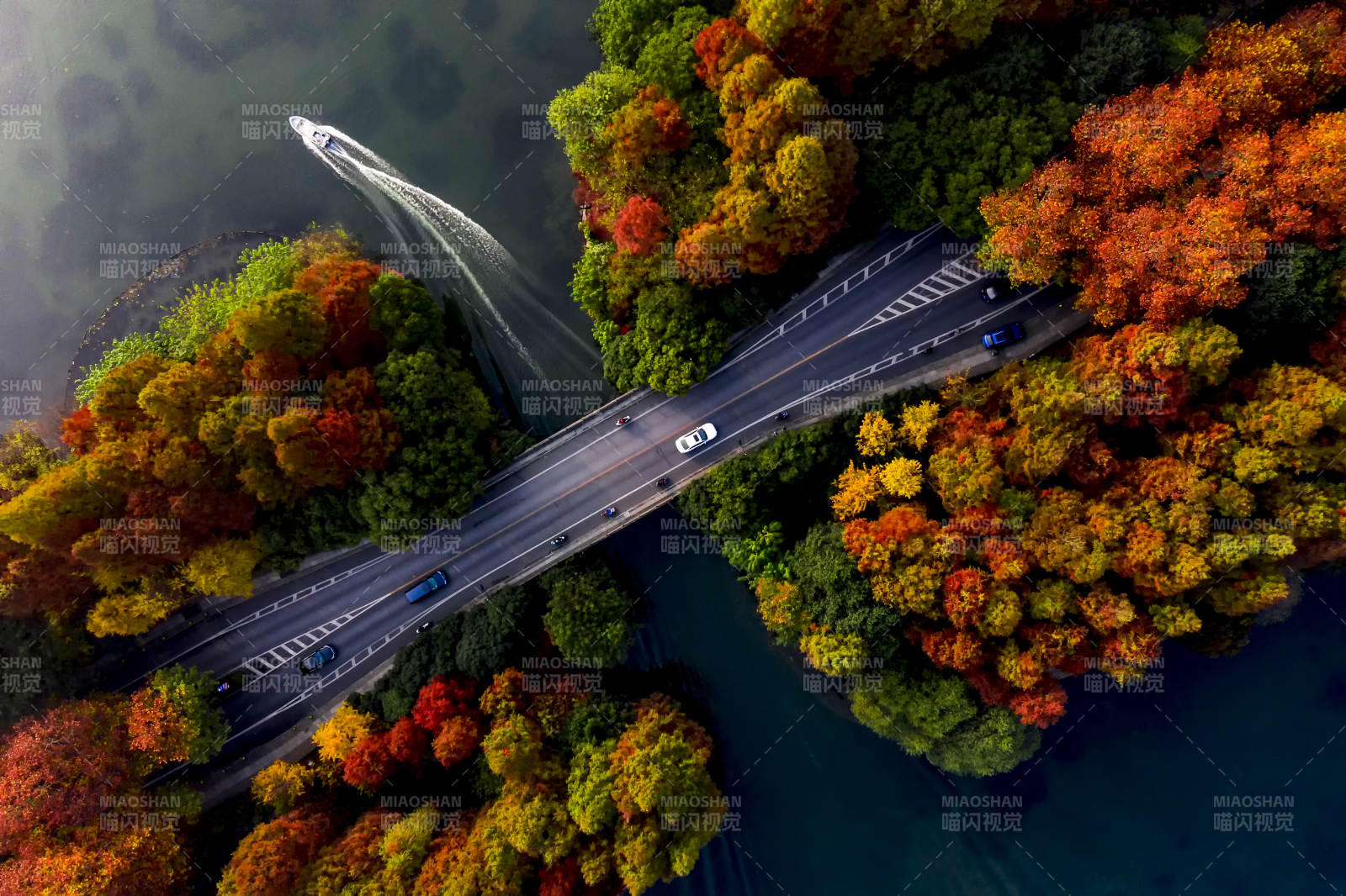 秋色橋景 車行如畫