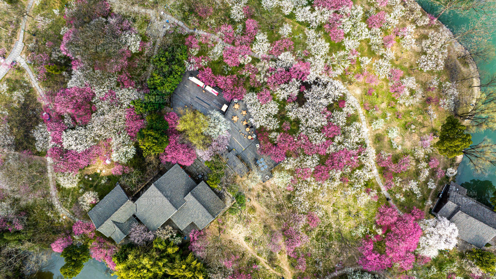 春日山間花海古宅圖