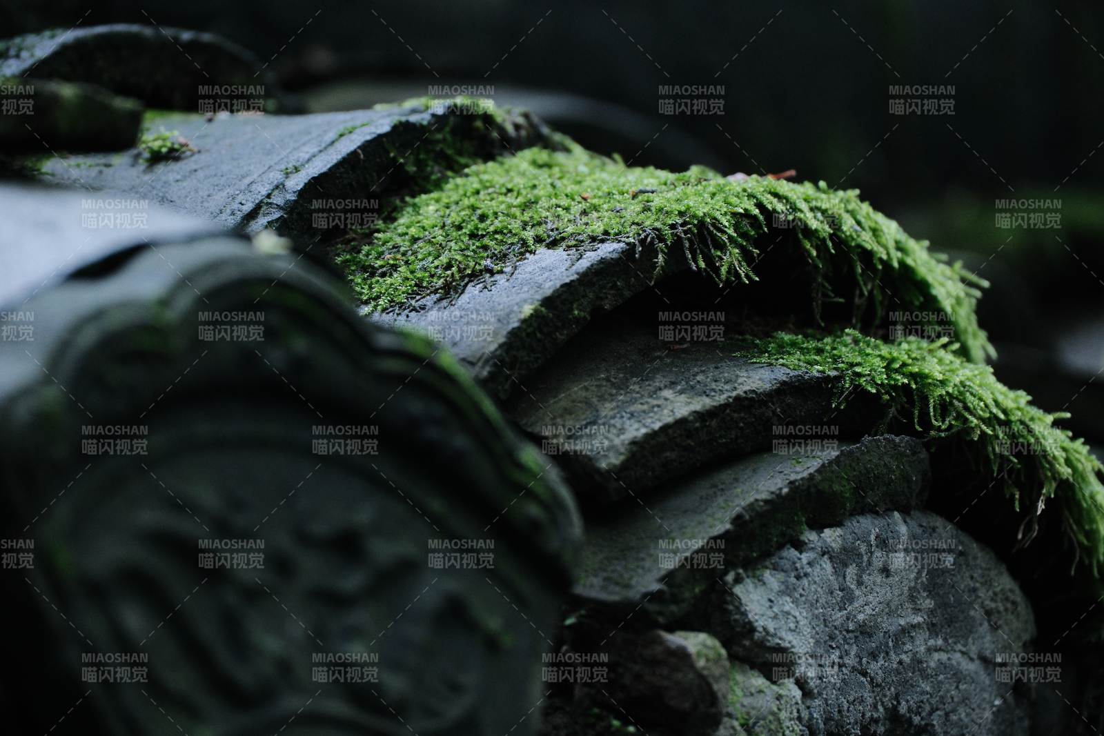 青苔覆蓋的古老瓦片