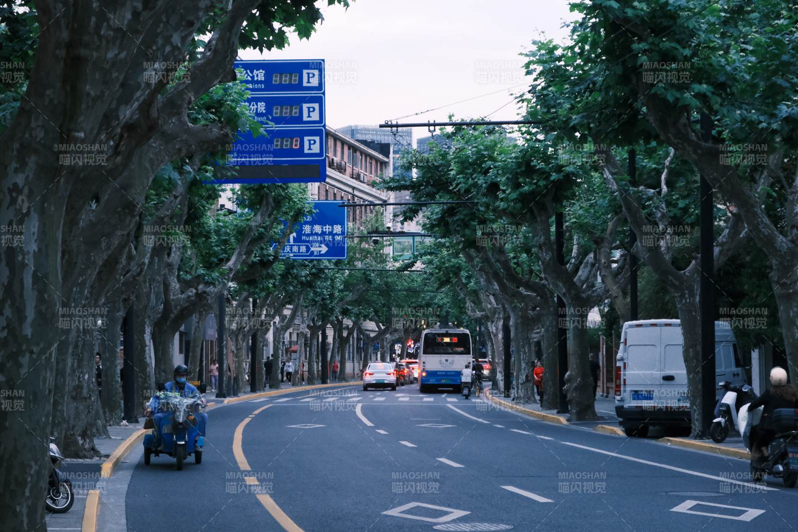城市綠蔭下的街道景象