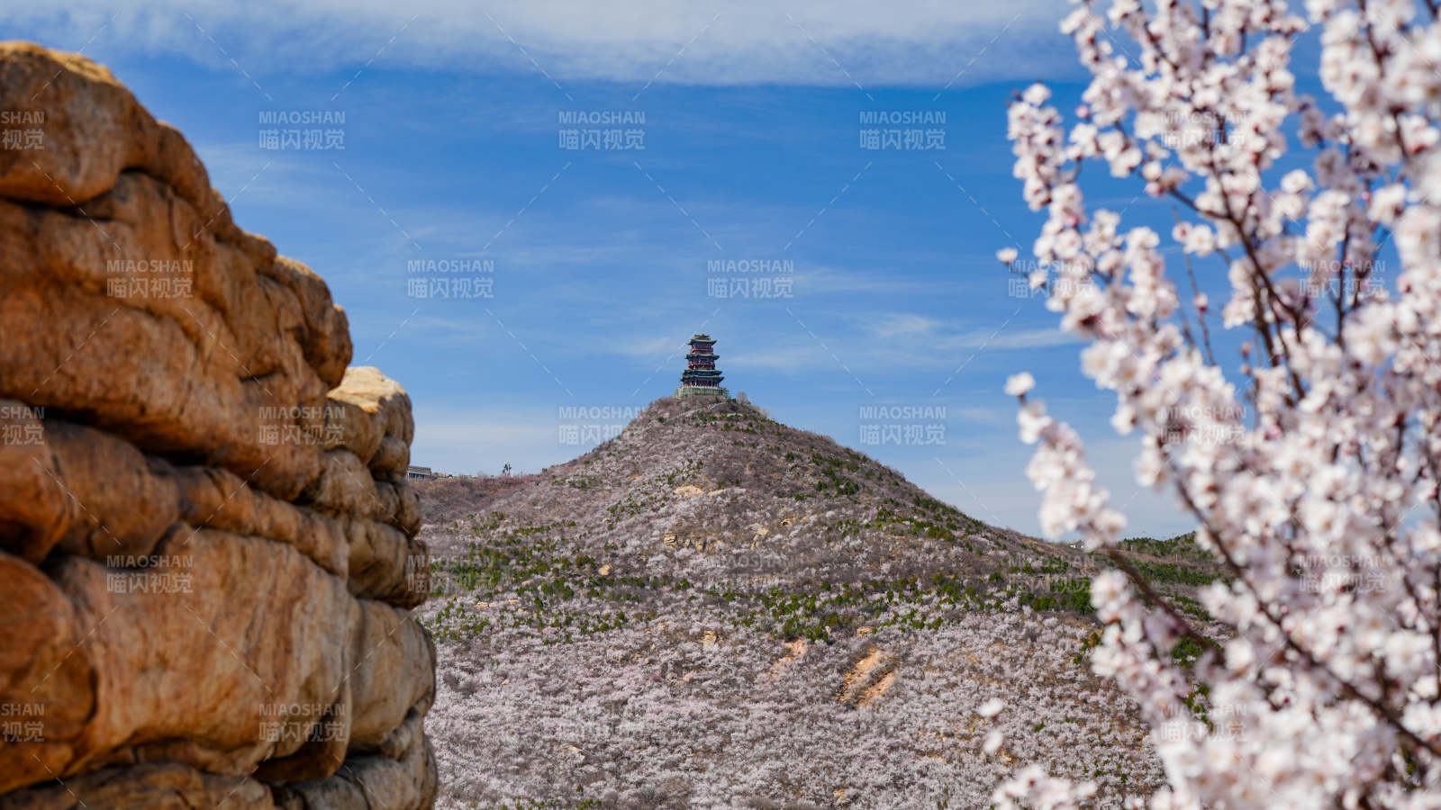 山巔古塔（北京定都閣） 春花爛漫
