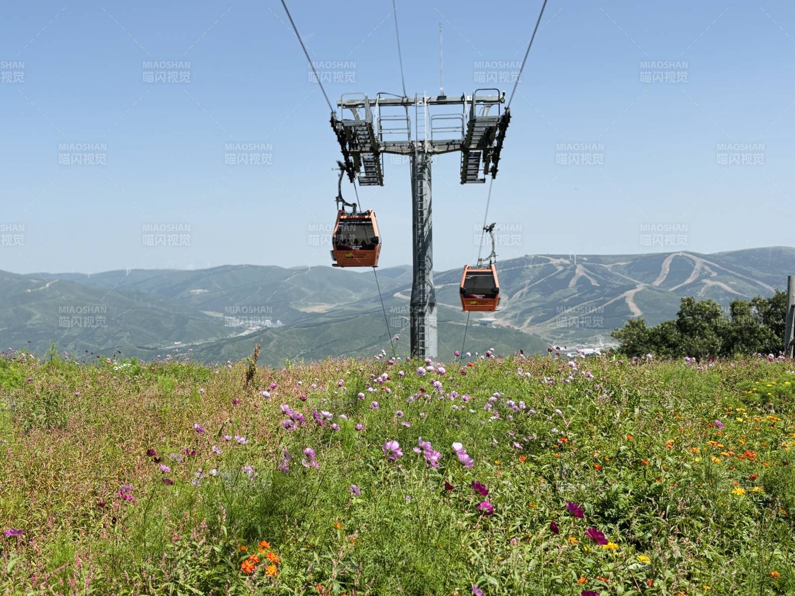 崇禮太舞小鎮 山間纜車與野花盛開