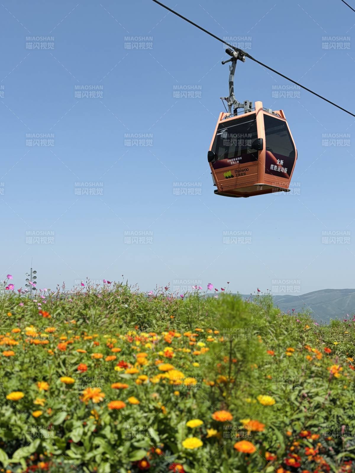 崇禮太舞小鎮 花海纜車 藍天下的美景