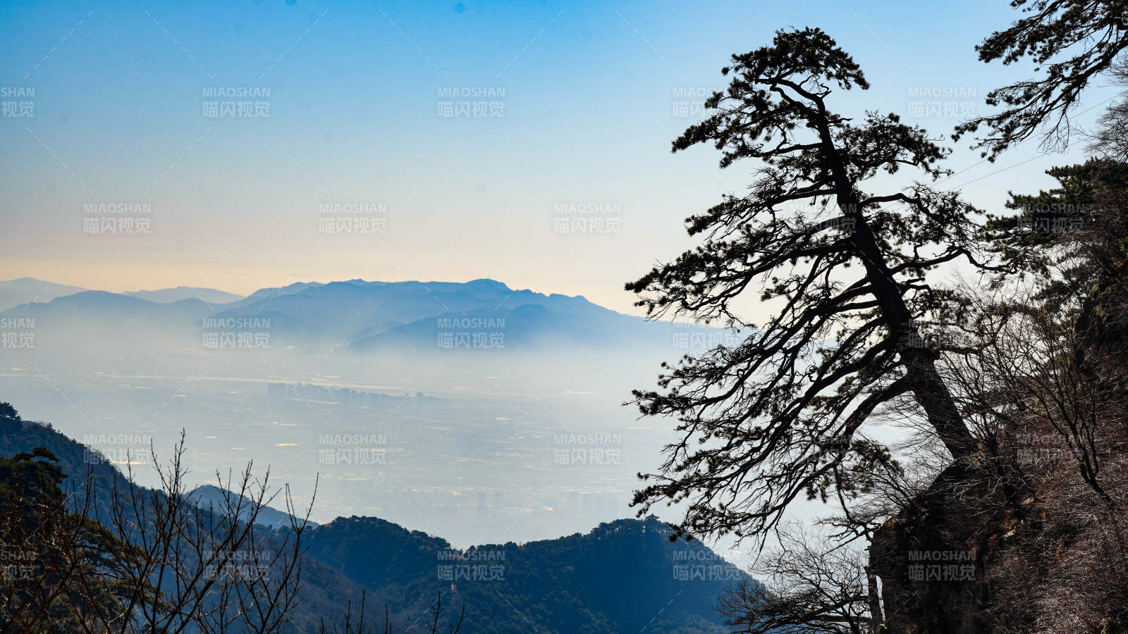 泰山山巔松影 遠眺云海